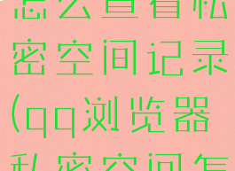 qq浏览器怎么查看私密空间记录(qq浏览器私密空间怎么看开)