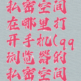 qq浏览器私密空间在哪里打开手机(qq浏览器的私密空间在哪)