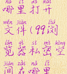 qq浏览器私密空间在哪里打开文件(qq浏览器私密空间在哪里打开文件管理)