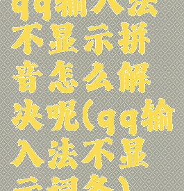 qq输入法不显示拼音怎么解决呢(qq输入法不显示词条)