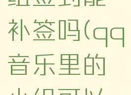 qq音乐小组签到能补签吗(qq音乐里的小组可以补签吗)