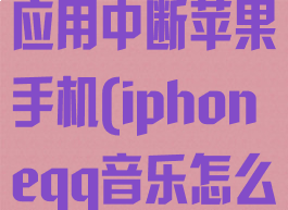 qq音乐怎么设置不被其他应用中断苹果手机(iphoneqq音乐怎么设置不被其他应用中断)