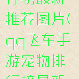 qq飞车手游宠物排行榜最新推荐图片(qq飞车手游宠物排行榜最新排行榜2020)