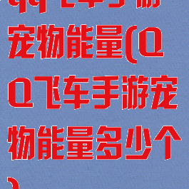 qq飞车手游宠物能量(QQ飞车手游宠物能量多少个)