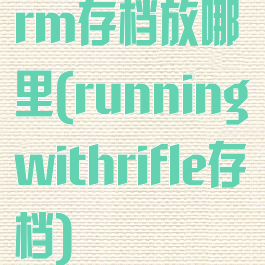 rm存档放哪里(runningwithrifle存档)