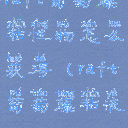 raft葡萄藤粘性物怎么获得(raft葡萄藤粘液)