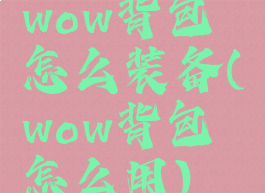 wow背包怎么装备(wow背包怎么用)