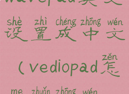 wavepad英文设置成中文(vediopad怎么转中文)