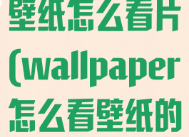 wallpaper壁纸怎么看片(wallpaper怎么看壁纸的视频)