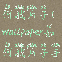 wallpaper如何找片子(wallpaper如何找片子手机版)