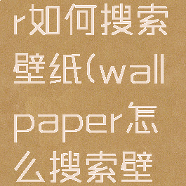 wallpaper如何搜索壁纸(wallpaper怎么搜索壁纸)