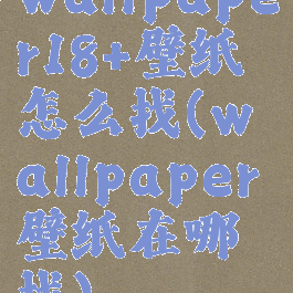 wallpaper18+壁纸怎么找(wallpaper壁纸在哪找)