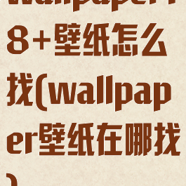 wallpaper18+壁纸怎么找(wallpaper壁纸在哪找)