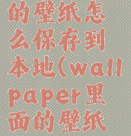 wallpaperengine的壁纸怎么保存到本地(wallpaper里面的壁纸怎么导出来了)