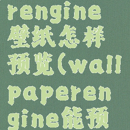 wallpaperengine壁纸怎样预览(wallpaperengine能预览壁纸吗)