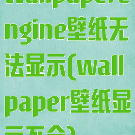 wallpaperengine壁纸无法显示(wallpaper壁纸显示不全)