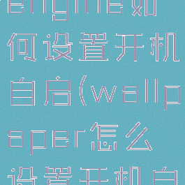wallpaperengine如何设置开机自启(wallpaper怎么设置开机自动启动)