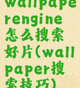wallpaperengine怎么搜索好片(wallpaper搜索技巧)