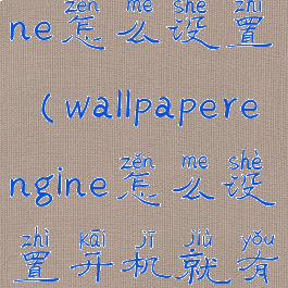 wallpaperengine怎么设置(wallpaperengine怎么设置开机就有)