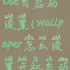 wallpaperengine自启动设置(wallpaper怎么设置开机自动启动)