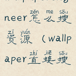 wallpaperengineer怎么搜资源(wallpaper直接搜)