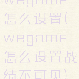 wegame怎么设置(wegame怎么设置战绩不可见)