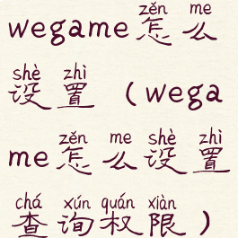 wegame怎么设置(wegame怎么设置查询权限)