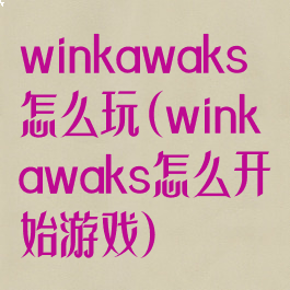 winkawaks怎么玩(winkawaks怎么开始游戏)