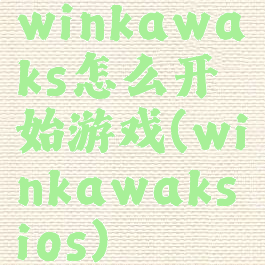 winkawaks怎么开始游戏(winkawaksios)