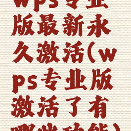 wps专业版最新永久激活(wps专业版激活了有哪些功能)