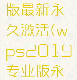 wps专业版最新永久激活(wps2019专业版永久激活)