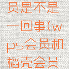 wps会员和稻壳会员是不是一回事(wps会员和稻壳会员哪个使用率高)