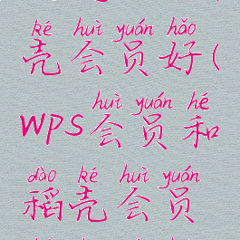 wps会员好还是wps稻壳会员好(wps会员和稻壳会员和超级会员区别)