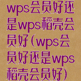 wps会员好还是wps稻壳会员好(wps会员好还是wps稻壳会员好)