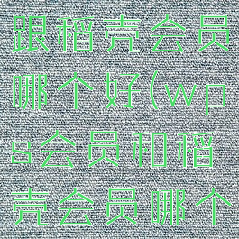 wps会员跟稻壳会员哪个好(wps会员和稻壳会员哪个好)