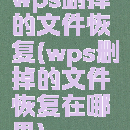 wps删掉的文件恢复(wps删掉的文件恢复在哪里)