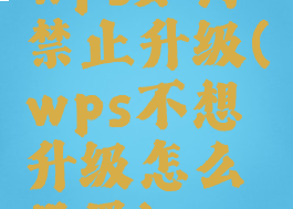 wps如何禁止升级(wps不想升级怎么设置)