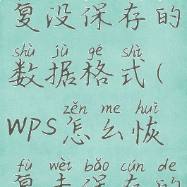 wps怎么恢复没保存的数据格式(wps怎么恢复未保存的数据)