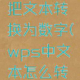 wps怎么把文本转换为数字(wps中文本怎么转换为数字)