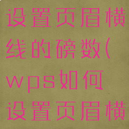 wps怎么设置页眉横线的磅数(wps如何设置页眉横线的宽度)