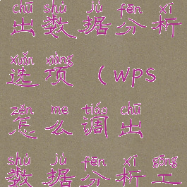 wps怎么调出数据分析选项(wps怎么调出数据分析工具)