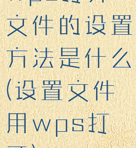 wps打开文件的设置方法是什么(设置文件用wps打开)