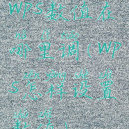 wps数值在哪里调(wps怎样设置数值)