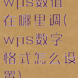 wps数值在哪里调(wps数字格式怎么设置)