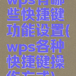 wps有哪些快捷键功能设置(wps各种快捷键操作方式)