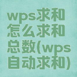 wps求和怎么求和总数(wps自动求和)