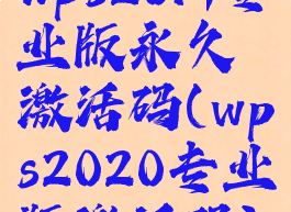 wps2019专业版永久激活码(wps2020专业版激活码)