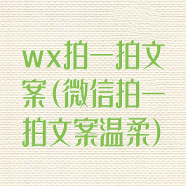 wx拍一拍文案(微信拍一拍文案温柔)