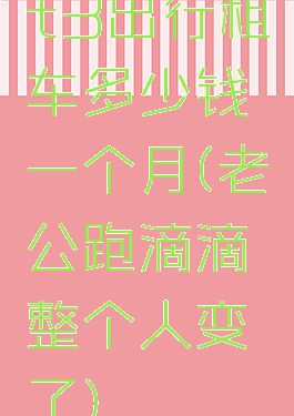 t3出行租车多少钱一个月(老公跑滴滴整个人变了)