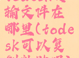 todesk传输文件在哪里(todesk可以复制粘贴吗)